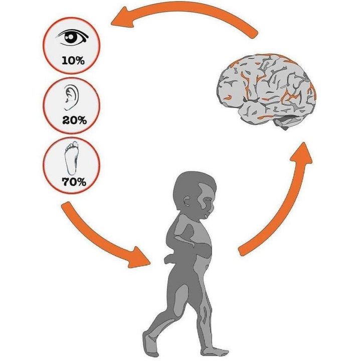 YOUR FEET IS A SENSORY ORGAN